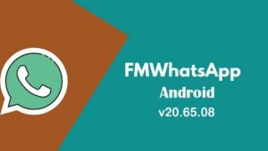 Download FM WhatsApp for More Creative Messaging